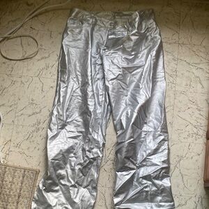 Shiny Silver Pants